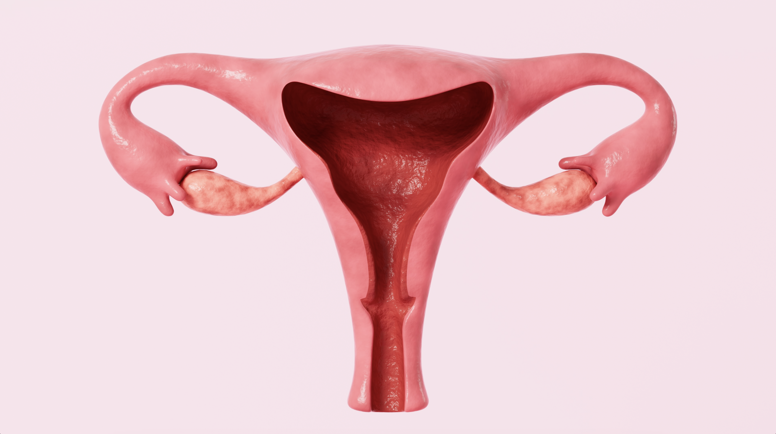 Endometriosis: señales, diagnóstico y qué hacer ahora